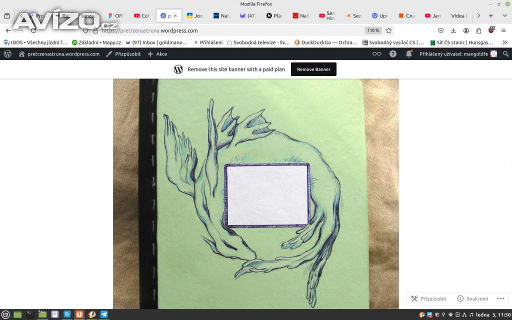 Foto inzerátu Hledám smysluplnou a tvůrčí práci