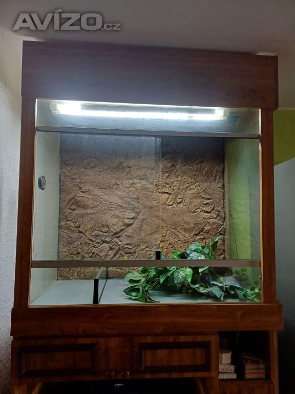 Foto inzerátu Terárium