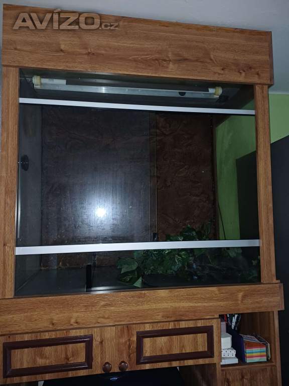 Foto inzerátu Terárium