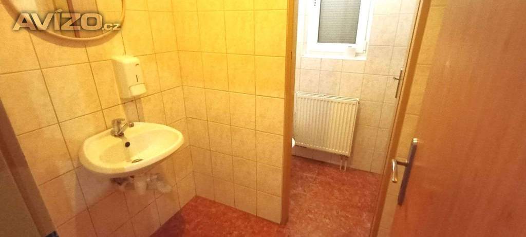 Foto inzerátu 3+kk v rodinném domě u Kopřivnice, zahrada, pergola... Volný podle potřeby.