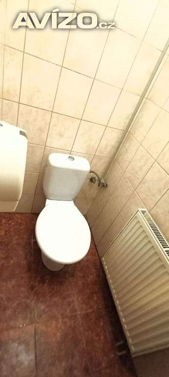 Foto inzerátu 3+kk v rodinném domě u Kopřivnice, zahrada, pergola... Volný podle potřeby.