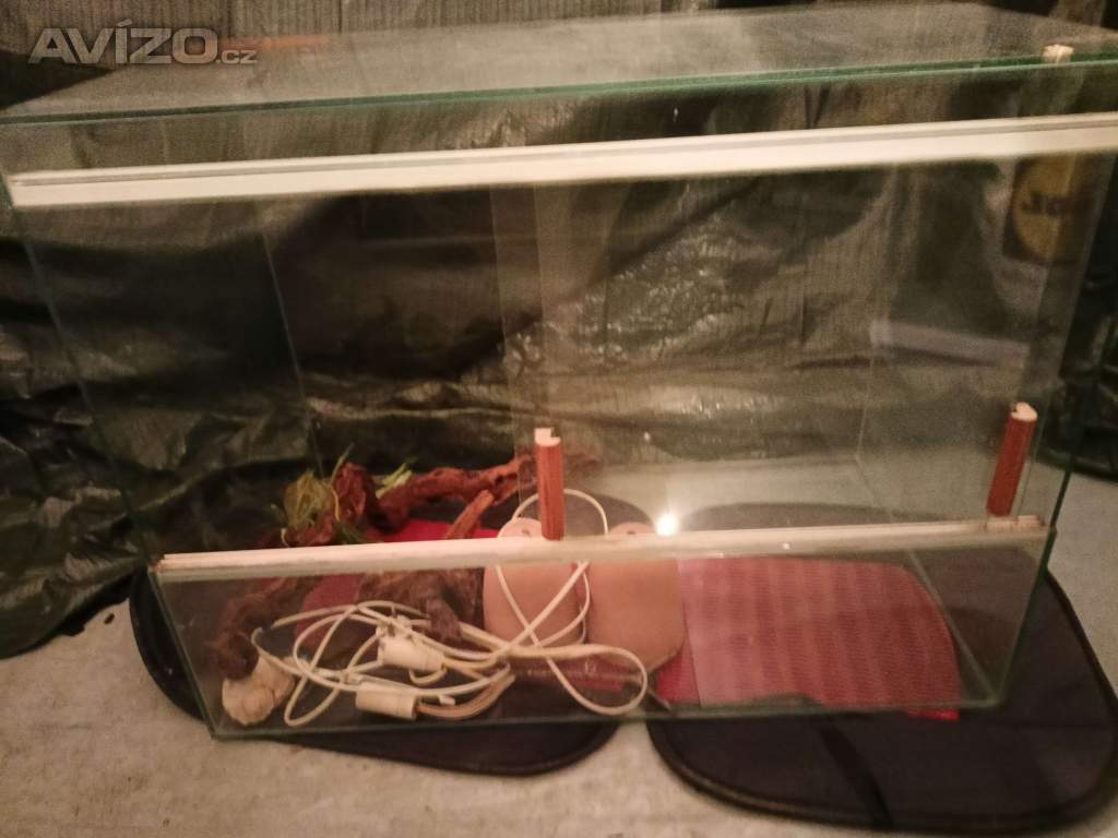 TERARIUM - velikosti 74x56x42,5 cm