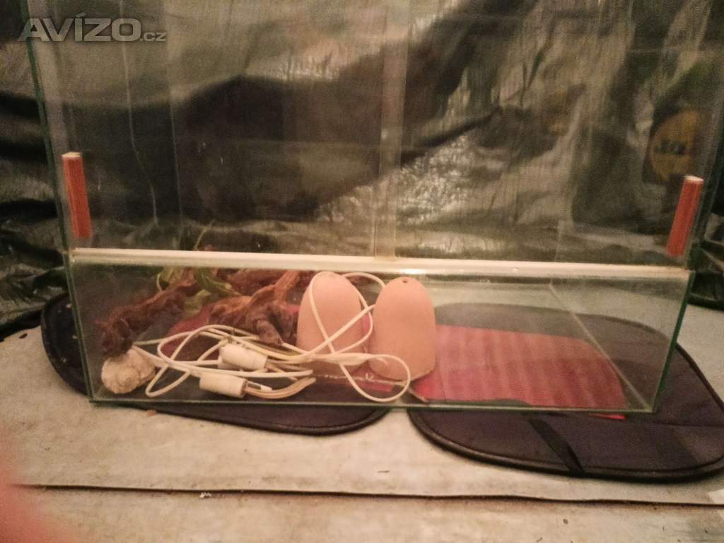 Foto inzerátu TERARIUM - velikosti 74x56x42,5 cm