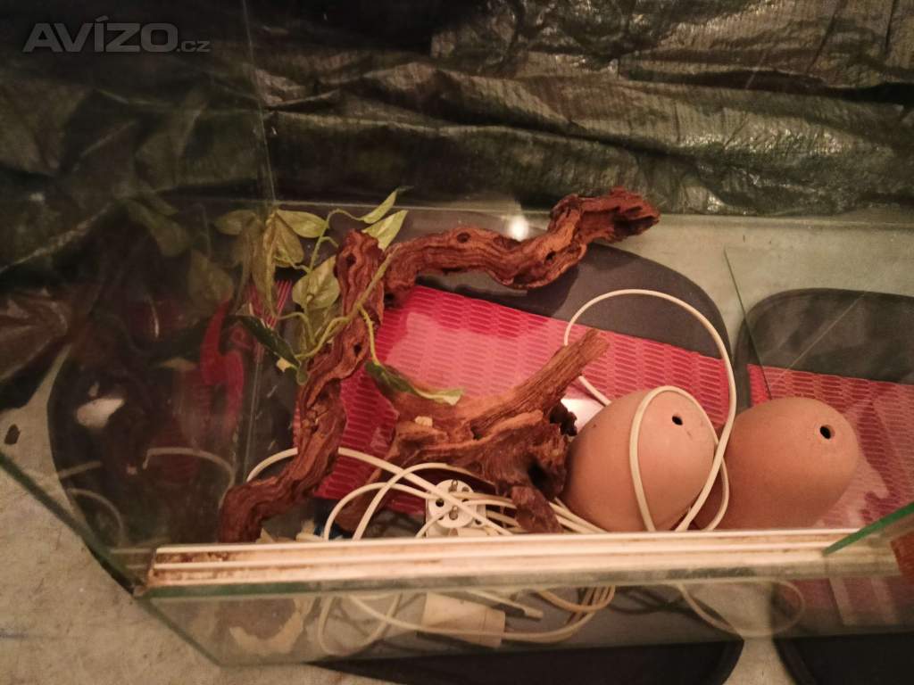 Foto inzerátu TERARIUM - velikosti 74x56x42,5 cm