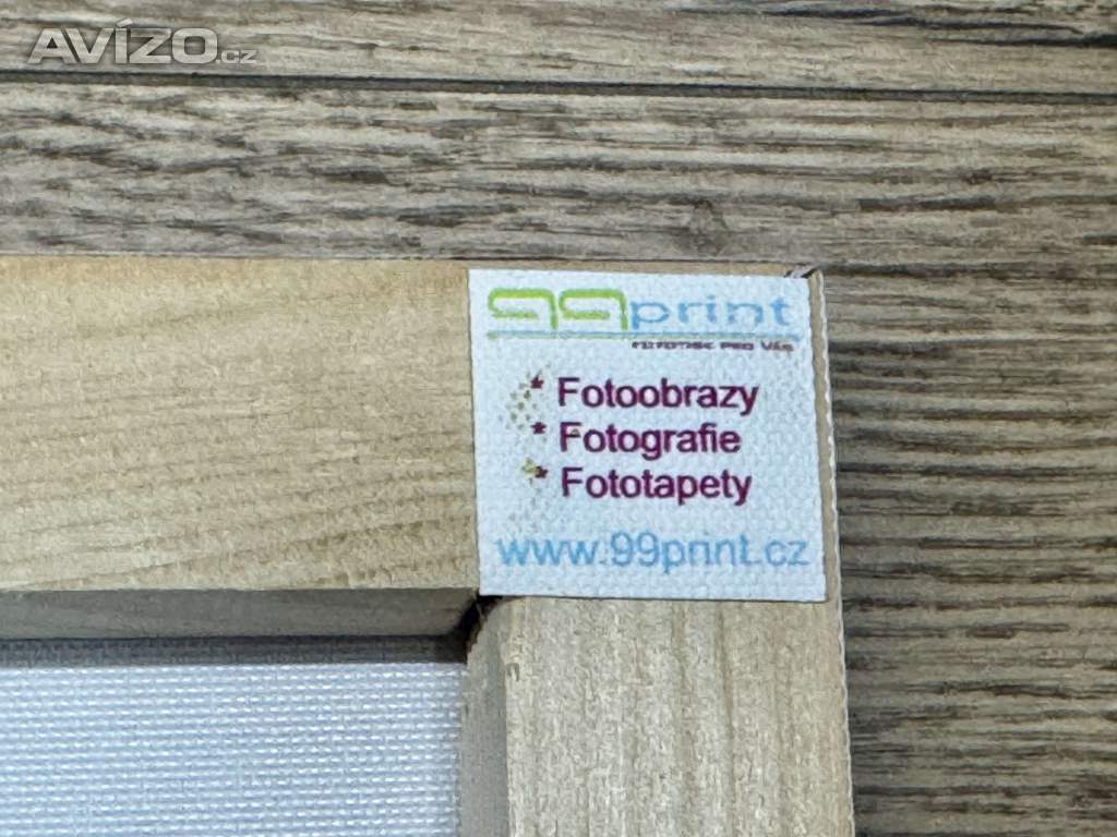 Foto inzerátu Fotoplátno Carolina Hurricanes NHL - 80 x 60 cm