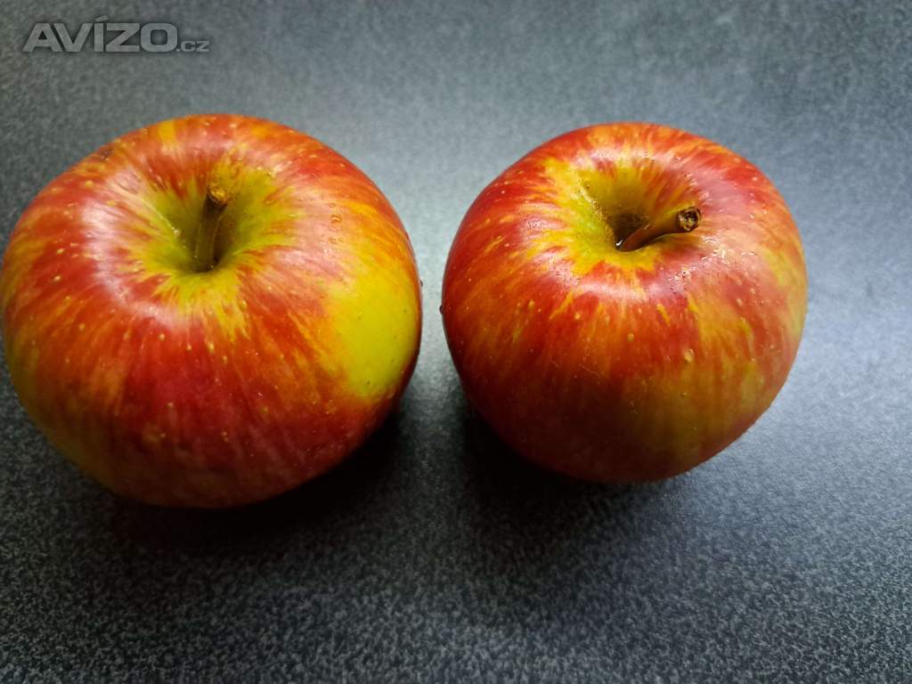 Foto inzerátu Nabídka jablek, ořechů-Chrudimsko