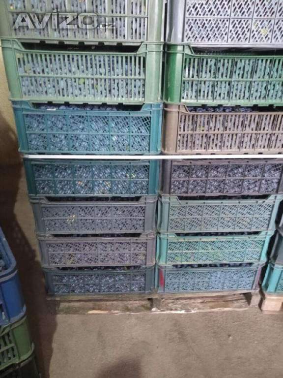 Trnky-bystricky -kvalita