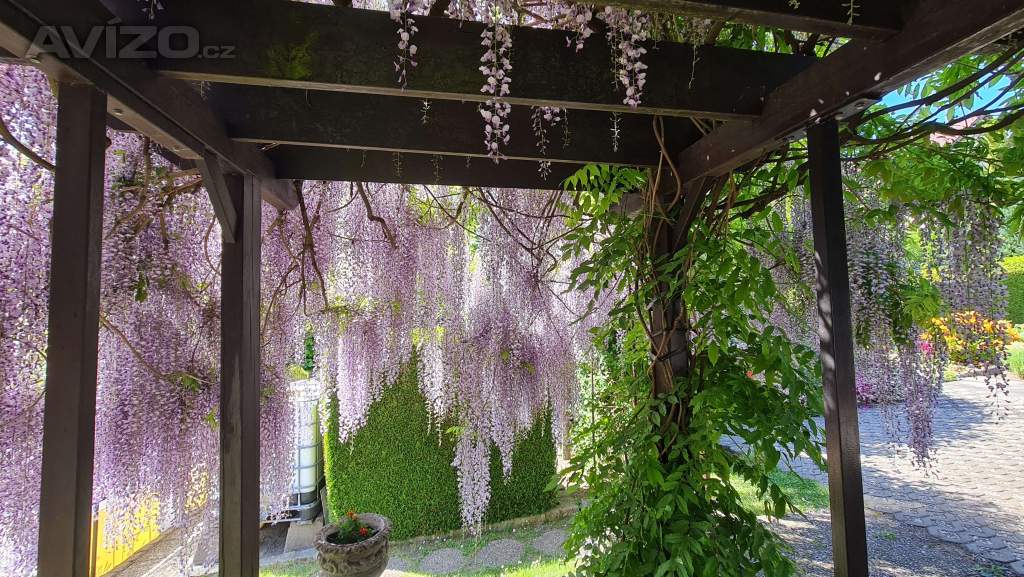 Foto inzerátu VISTÁRIE