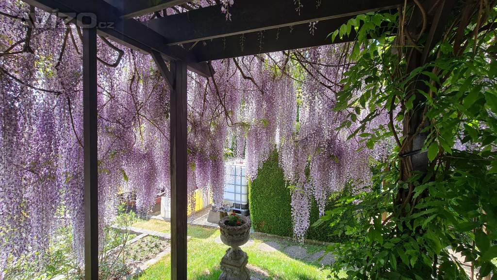 Foto inzerátu VISTÁRIE