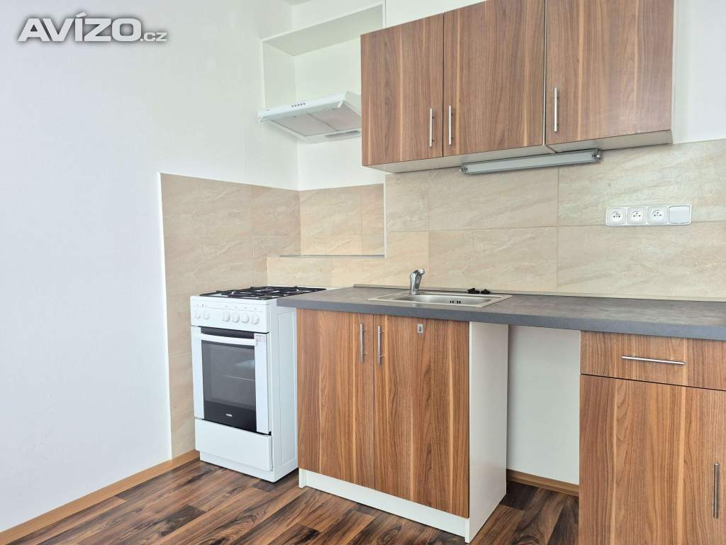 Foto inzerátu Byt 1+1 v centru města