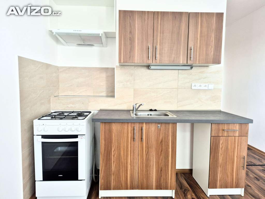 Foto inzerátu Byt 1+1 v centru města