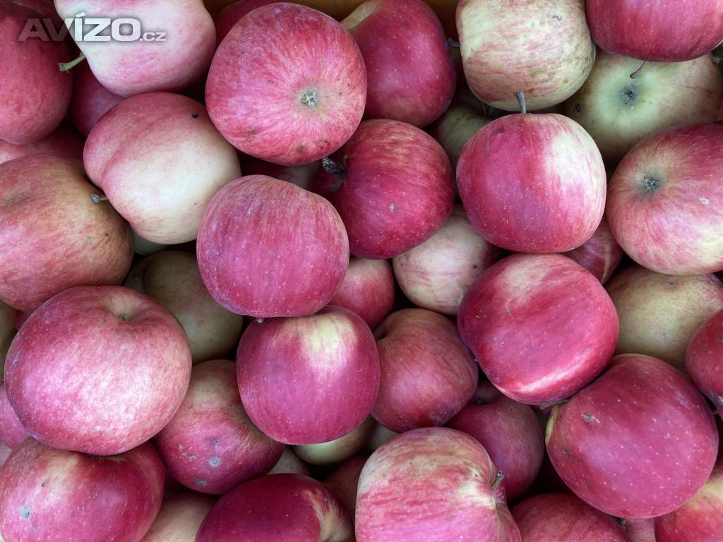 Foto inzerátu jablka Idared