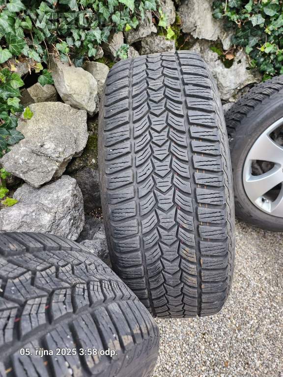 Foto inzerátu Zimní pneu na diskách 205/55 R 16