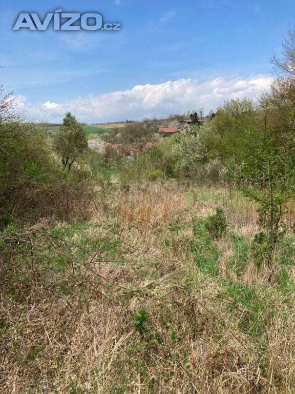 Foto inzerátu Pronájem (možný i prodej na splátky) 6.917 m2 Jestřabice