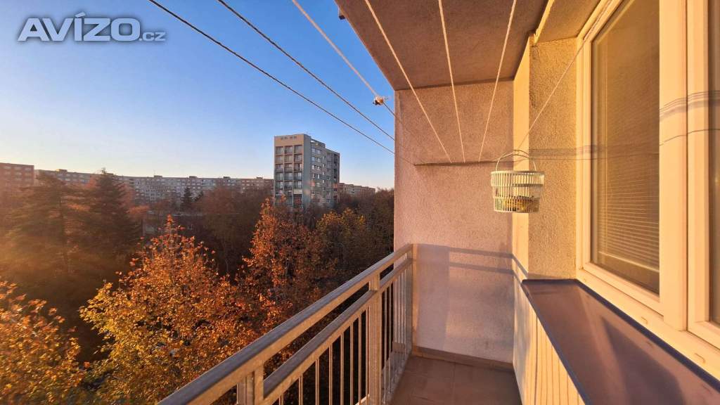 Pronajmu byt 2+1 48 m2 v Ostravě - Hrabůvce