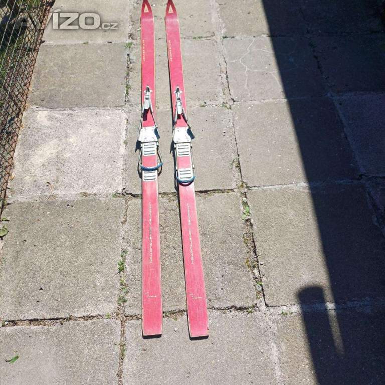 Foto inzerátu sanky a lyže