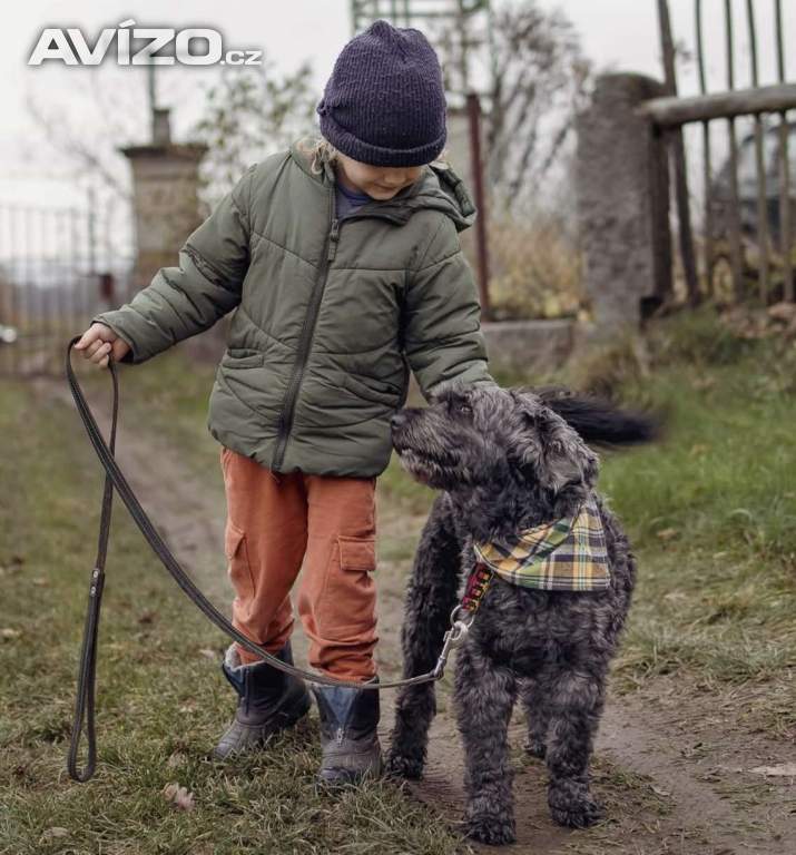 Foto inzerátu FILÍPEK - 15 kg, kastrovaný psík 12 let 