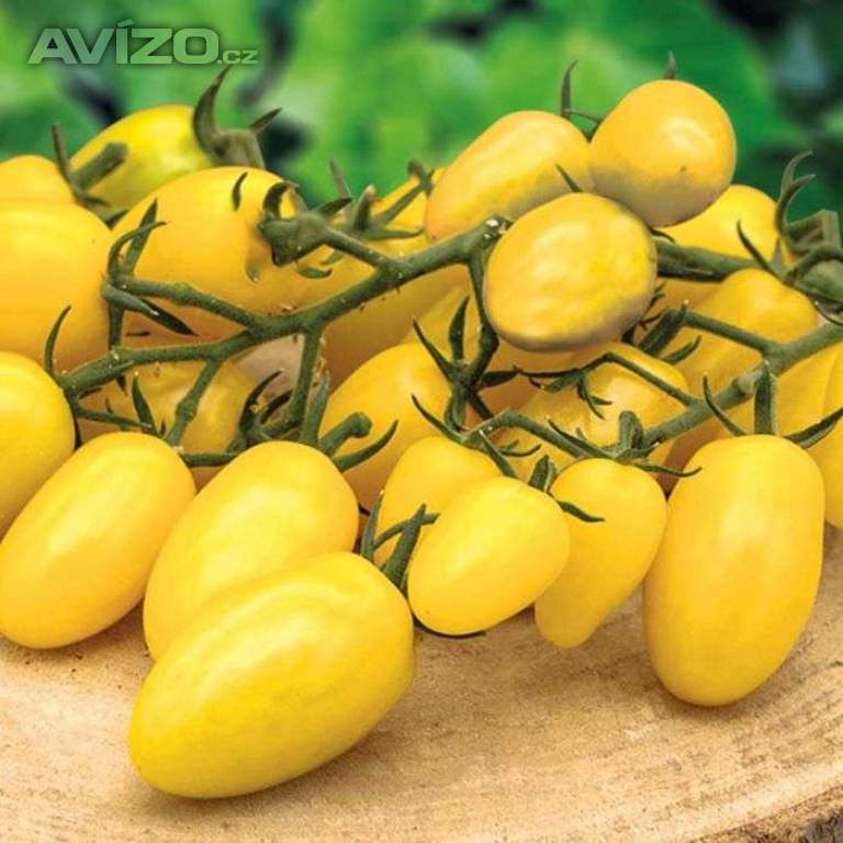 Rajče Dattolime F1 - semena