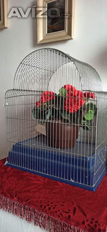 prodej klece na andulky