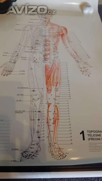 Foto inzerátu Pomůcky pro maséry