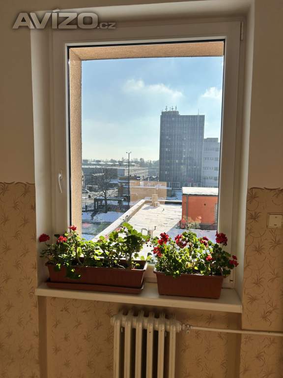 Mytí oken a žaluzií 