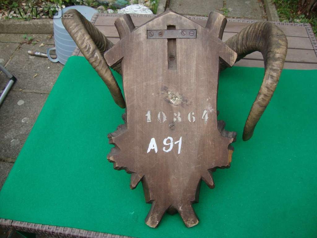 Foto inzerátu Starožitná Mufloní trofej Muflon 1912 medailové rozměry top