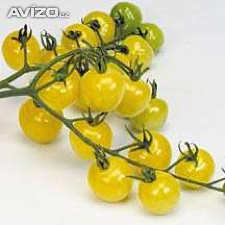 Rajče Snowberry - semena