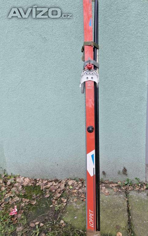 Foto inzerátu Sjezdové boty nadměrná vel. 46. Běžky Rossignol, hůlky. Doplňky zdarma