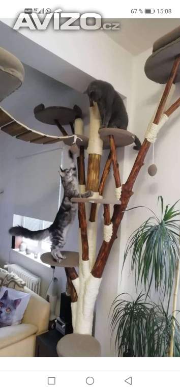 Foto inzerátu Škrabadlo pro kocky 