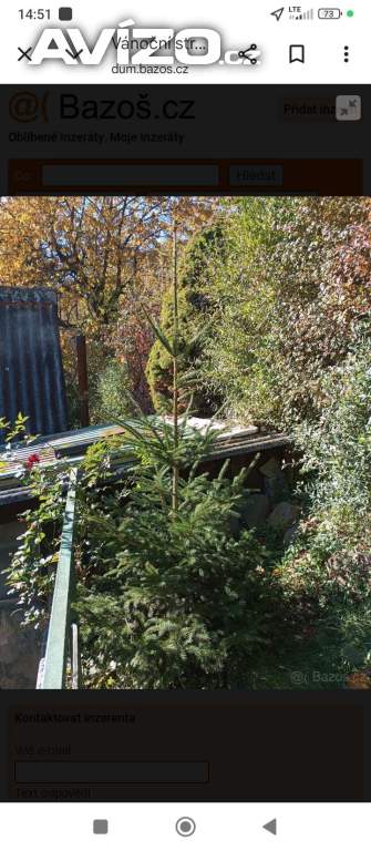 Vánoční stromeček 