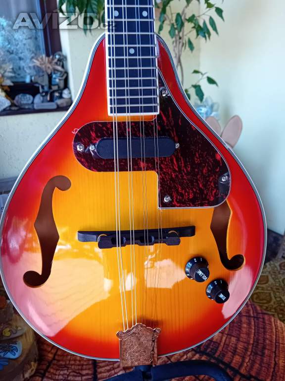 Foto inzerátu Elektroakustická mandolína 