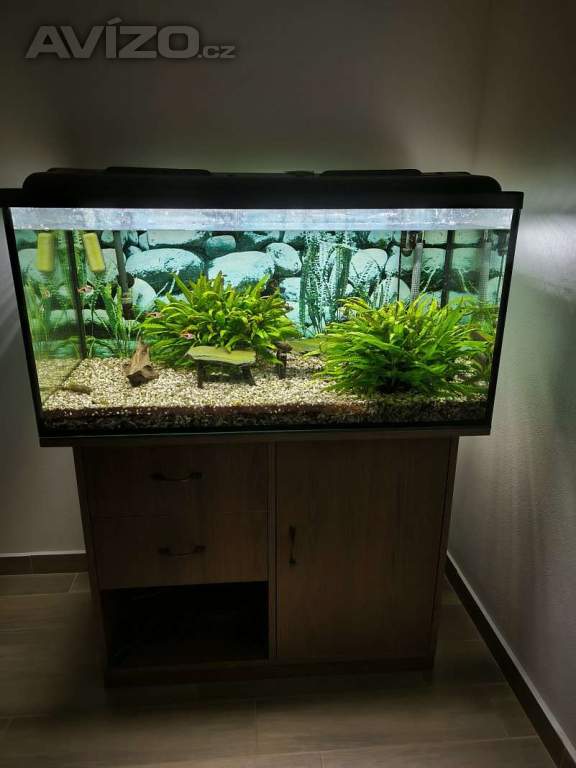 Prodám akvárium