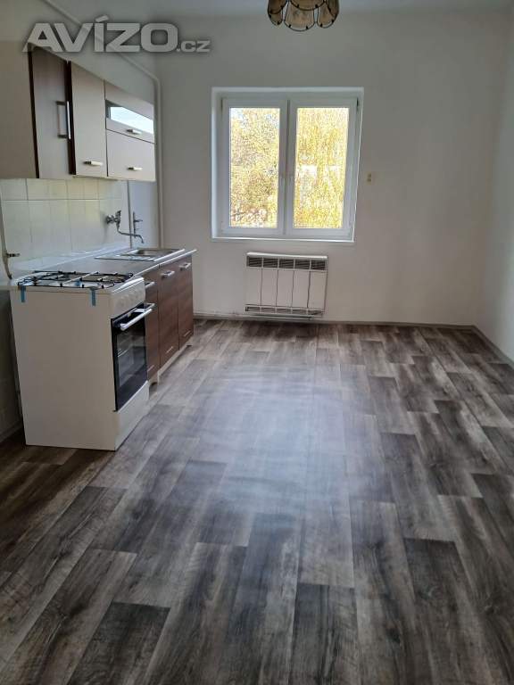 Foto inzerátu Pronajemu byt