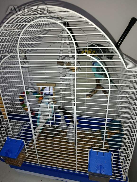 Foto inzerátu Prodám 