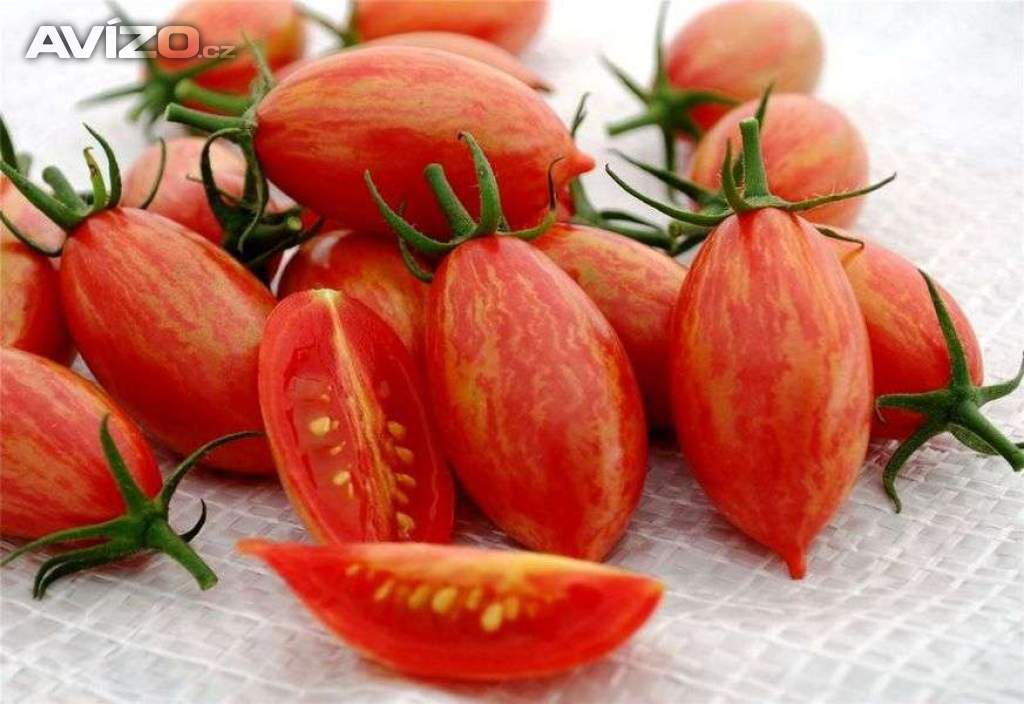 Rajče Artisan Pink tiger - semena