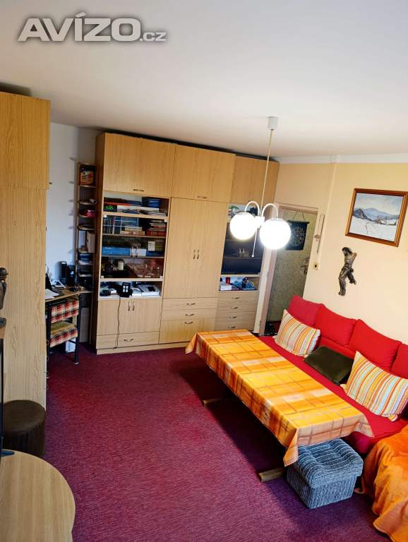 Foto inzerátu Byt 1+1, dr (s převodem), Výškovická (Kotva)