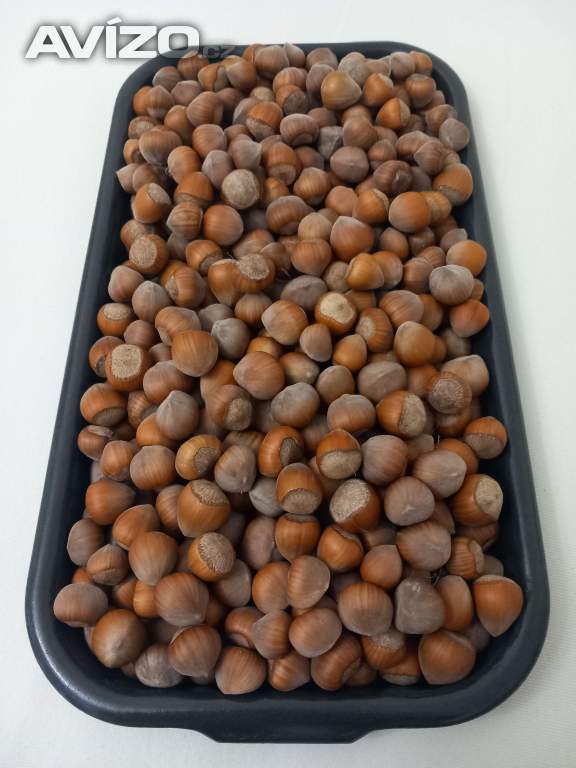 Bio LÍSKOVÉ OŘECHY