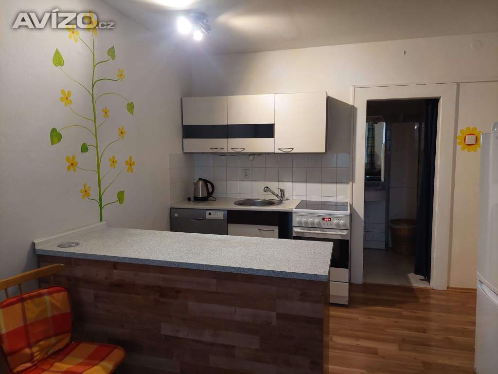 Pronajmu byt 2+kk na Slovanech