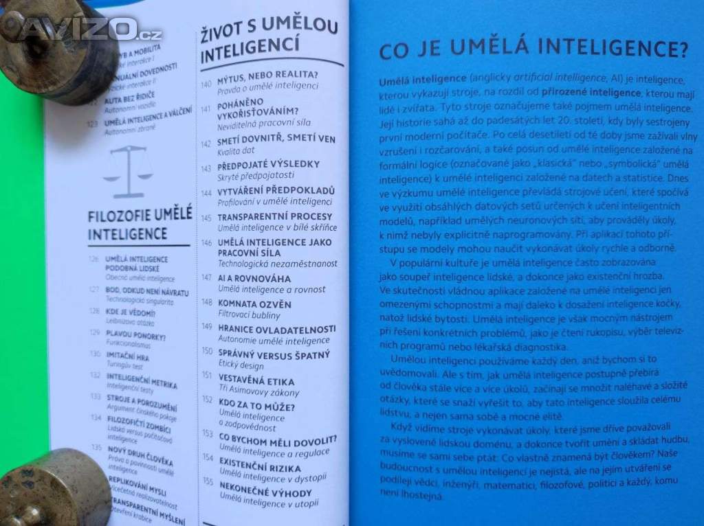 Foto inzerátu Umělá inteligence co je, jak funguje, učí se, co poskytuje