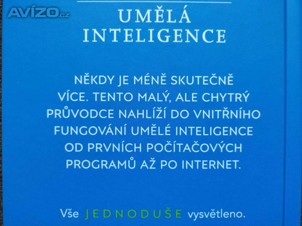 Foto inzerátu Umělá inteligence co je, jak funguje, učí se, co poskytuje