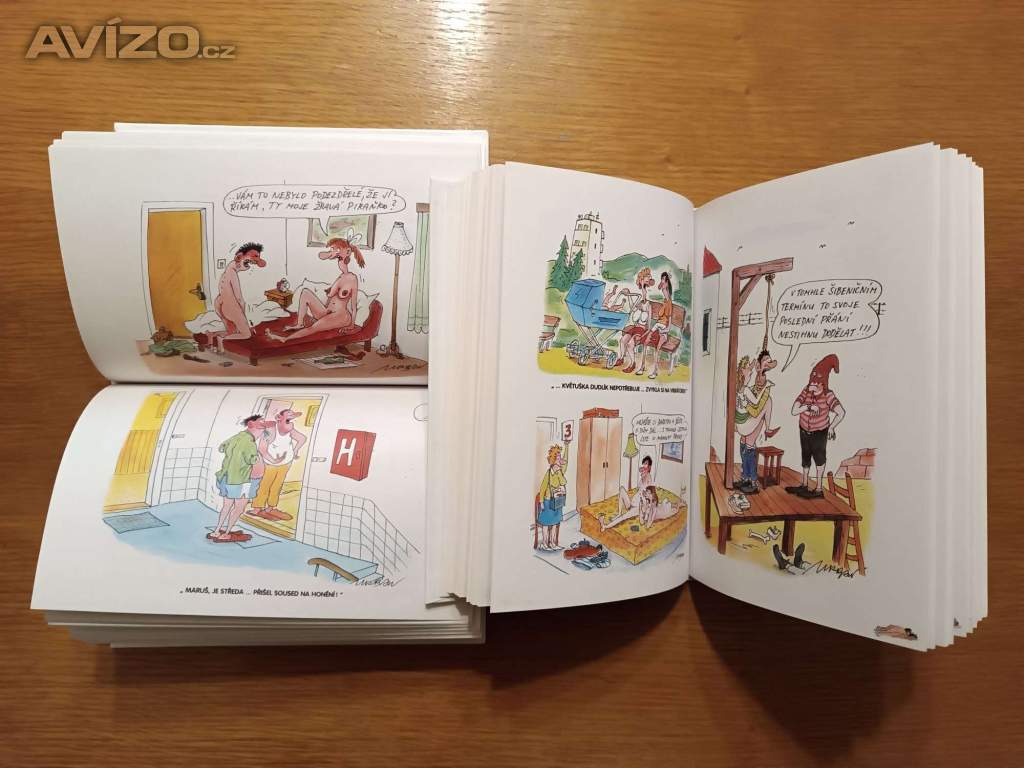 Foto inzerátu Knihy – humor