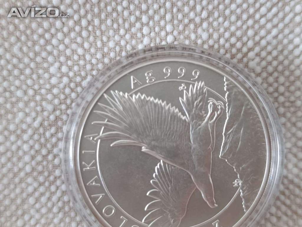 Foto inzerátu Stříbrná mince SLOVENSKY OREL 2023, 2 OZ JEN 500ks