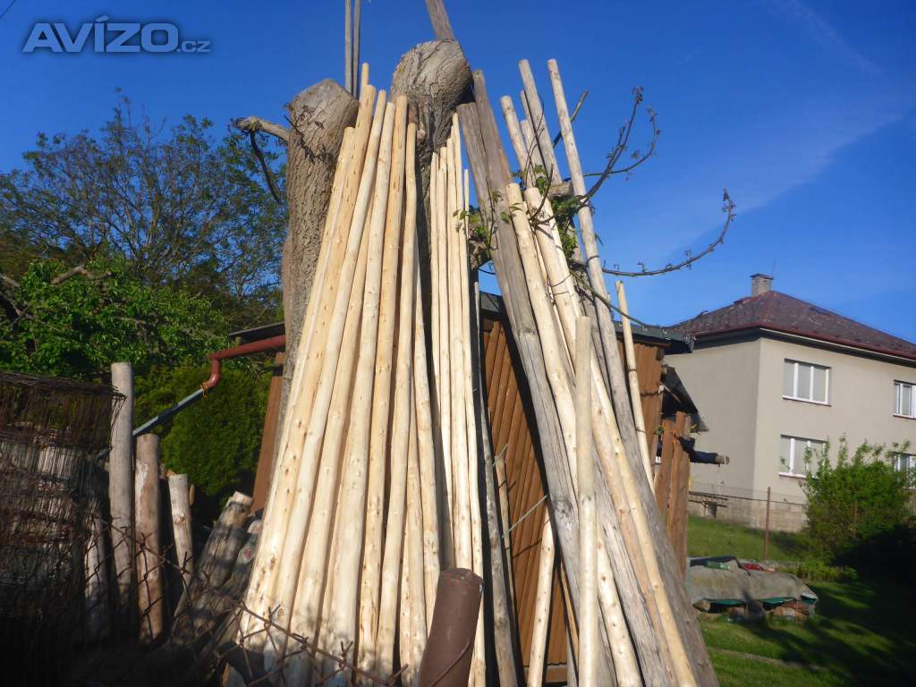 Loupaná smrková bidla