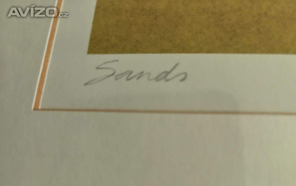 Foto inzerátu Obrázek Sands