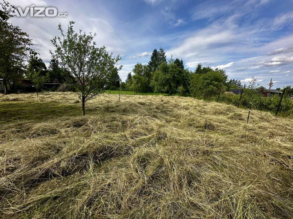 Foto inzerátu Luční seno, čerstvé, ručně sušené a vonící - červen 2026 -