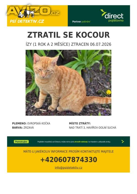 Foto inzerátu Hledá se kocourek ÍZY - Havířov