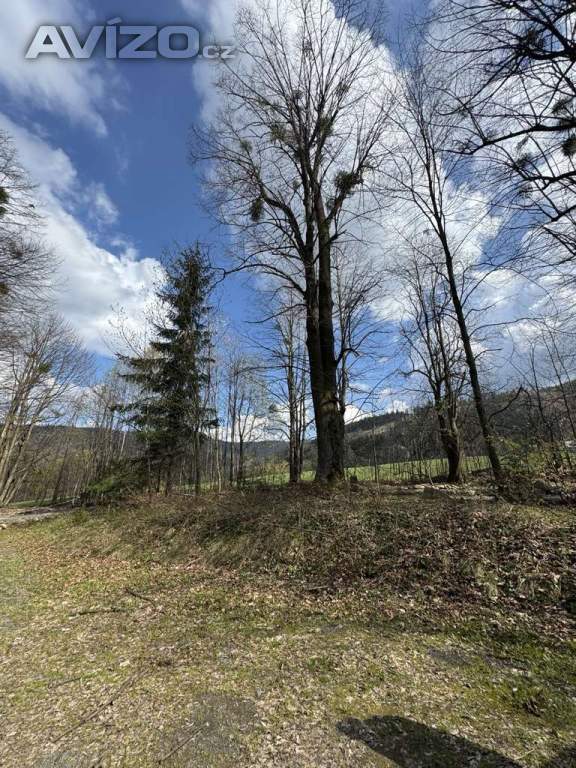 Foto inzerátu Prodej, prodej na splátky RD Malenovice, pozemek 5.697m2