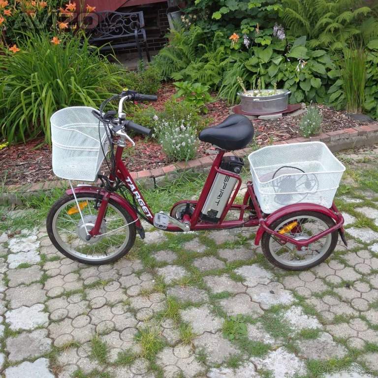 Foto inzerátu Elektricka trikolka  jezdí i bez slapani