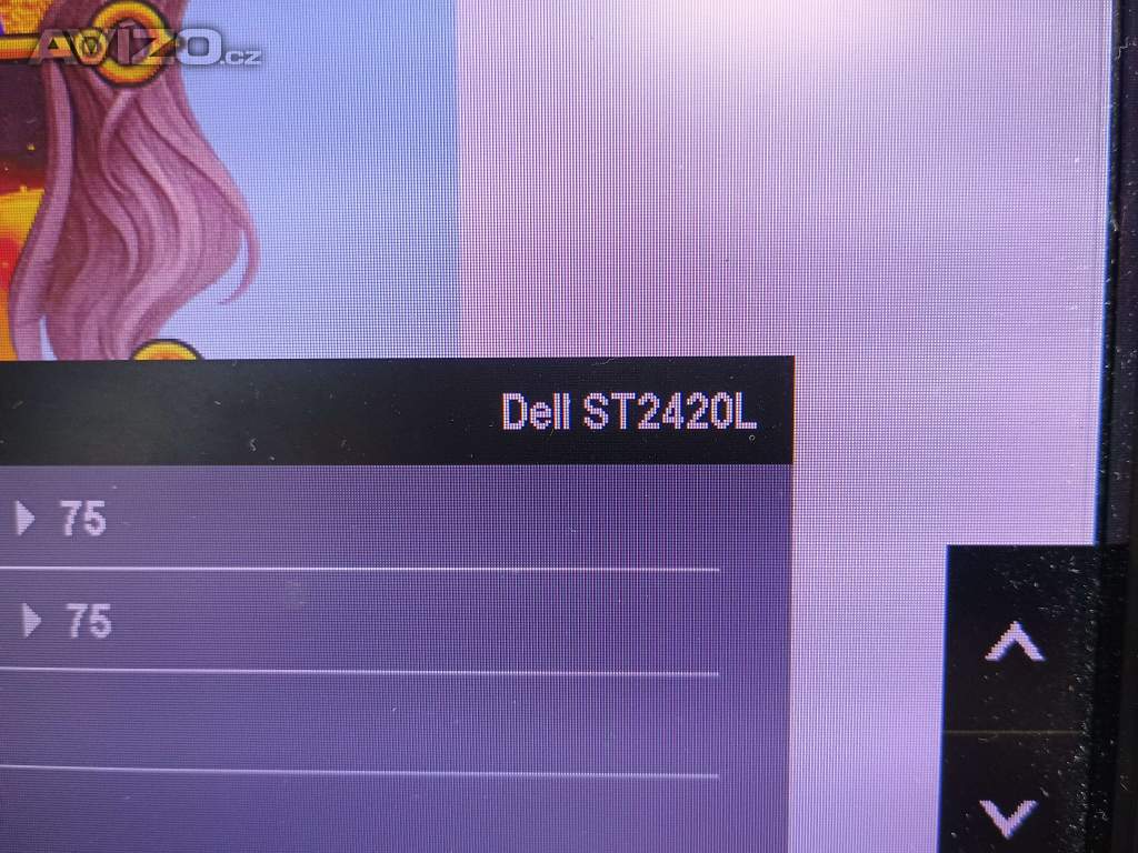 Foto inzerátu LCD#62 Dell ST2420L