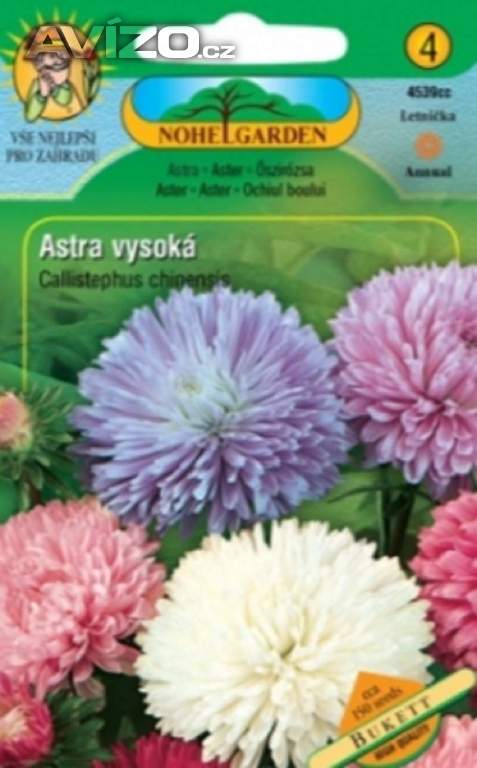 Astra čínská vysoká Bukett směs (semena) levna-semena.cz